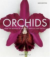 Orchids
