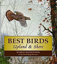 Best Birds: Upland and Shore