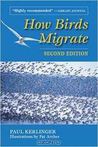How Birds Migrate