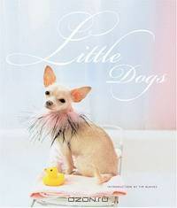 Little Dogs