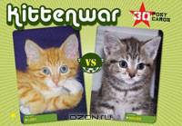 Kittenwar Postcard Box: May the Cutest Kitten Win!