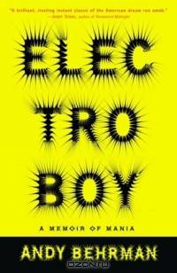 Electroboy : A Memoir of Mania
