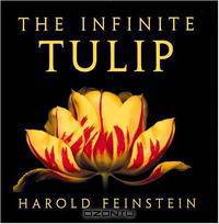 The Infinite Tulip