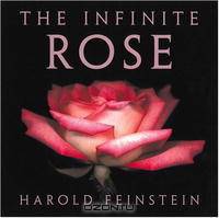 The Infinite Rose