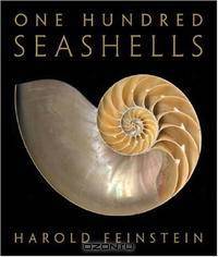 One Hundred Seashells