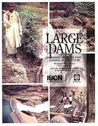 Large Dams: Learning from the Past, Looking at the Future