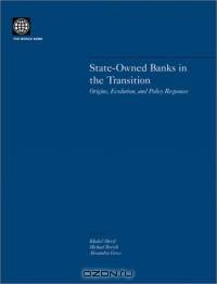 State-Owned Banks in the Transition: Origins, Evolution, and Policy Responses