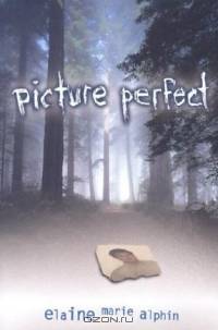 Picture Perfect (Young Adult Fiction)