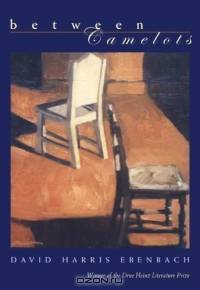 Between Camelots (Drue Heinz Literature Prize)