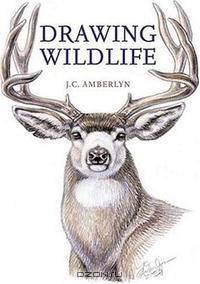 Drawing Wildlife