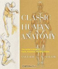Classic Human Anatomy: The Artist