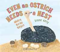 Even an Ostrich Needs a Nest: Where Birds Begin