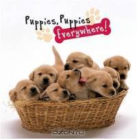 Puppies, Puppies Everywhere!