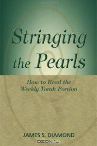 Stringing the Pearls: How to Read the Weekly Torah Portion