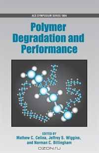 Polymer Degradation and Performance (Acs Symposium Series)