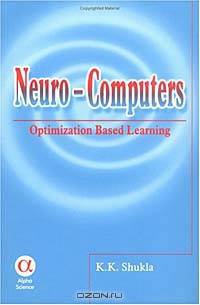 Neuro-Computers: Optimization Based Learning