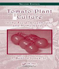 Tomato Plant Culture: In the Field, Greenhouse, and Home Garden