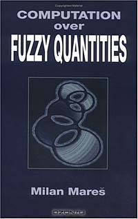 Computation Over Fuzzy Quantities