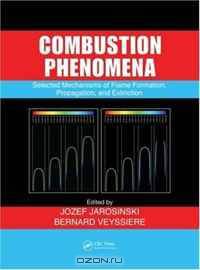 Combustion Phenomena: Selected Mechanisms of Flame Formation, Propagation and Extinction