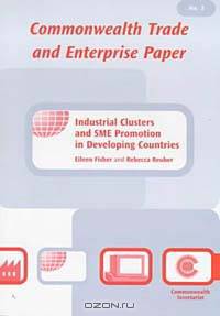 Industrial Clusters and SME Promotion in Developing Countries No. 3