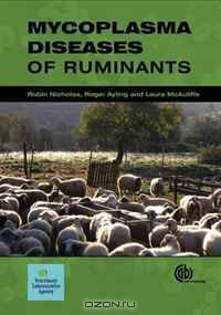 Mycoplasma Diseases of Ruminants (Cabi)