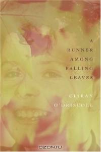 A Runner Among Falling Leaves : A Story of Childhood