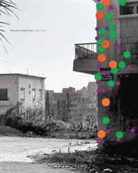 Walid Raad