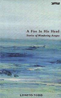 A Fire in His Head: The Adventures of Wandering Aengus