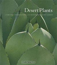 Desert Plants: A Curator