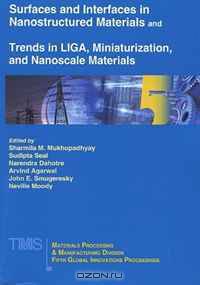 Surfaces and Interfaces in Nanostructured Materials and Trends in LIGA, Miniaturization, and Nanoscale Materials: Fifth MPMD Global Innovations Symposium (Mpmd Fifth Global Innovations Proceedings)