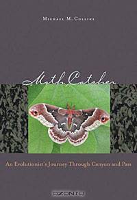 Moth Catcher: An Evolutionist