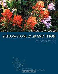 A Guide to Plants of Yellowstone and Grand Teton National Parks