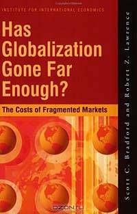 Has Globalization Gone Far Enough?: The Costs of Fragmented Markets