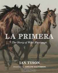 La Primera: The Story of Wild Mustangs