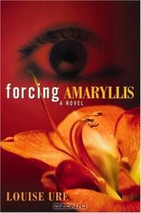 Forcing Amaryllis