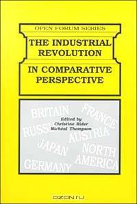 The Industrial Revolution in Comparative Perspective (Open Forum Series)