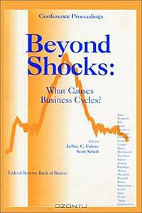 Beyond Shocks: What Causes Business Cycles