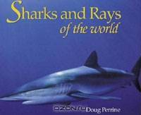 Sharks and Rays of the World