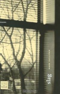 Slag (The Walt Mcdonald First-Book Series in Poetry)