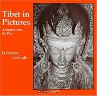Tibet In Pictures: A Journey Into The Past (Tibet Art and Culture Series)