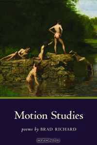 Motion Studies