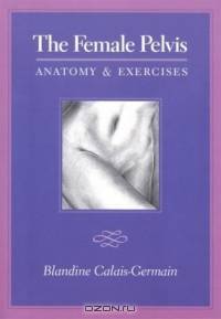 The Female Pelvis Anatomy & Exercises