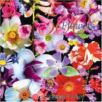 500 Flowers: A celebration of the natural world.
