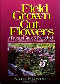 Field Grown Cut Flowers: A Practical Guide and Sourcebook : Commercial Field Grown Fresh and Dried Cut Flower Production