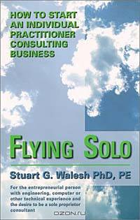 Flying Solo : How to Start an Individual Practitioner Consulting Business