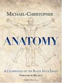 Anatomy: A Celebration of the Black Male Image