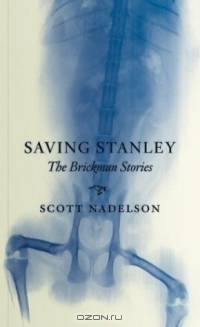 Saving Stanley: The Brickman Stories