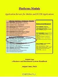 E-Business and Distributed Systems Handbook: Platforms Module