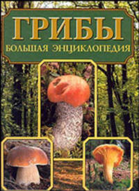 Грибы. Большая энциклопедия