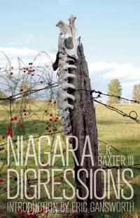 Niagara Digressions